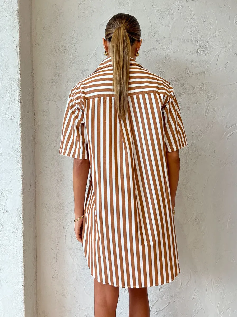 Assembly Label Haley Poplin Dress in Burnt Ochre Stripe