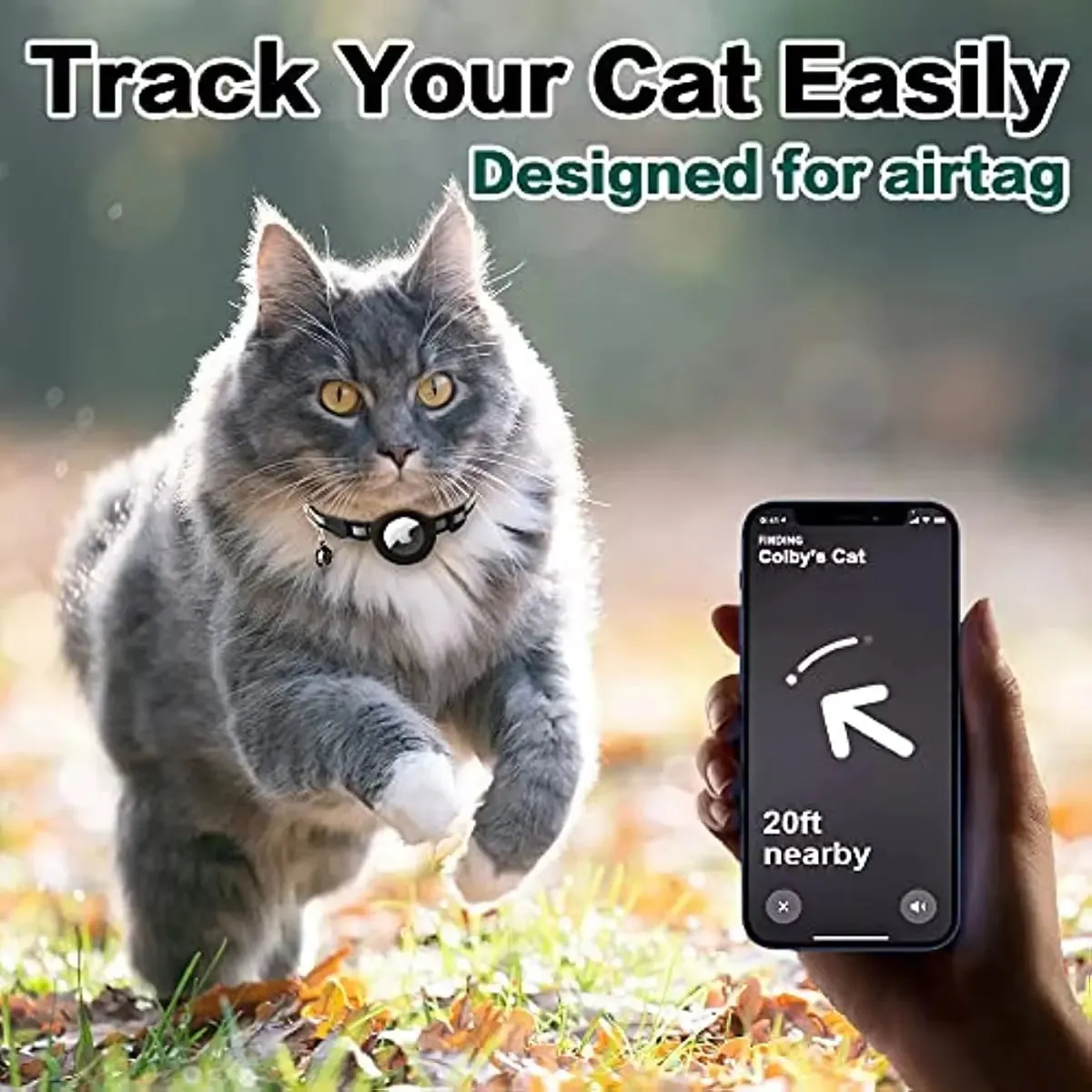 Breakaway Cat Collar