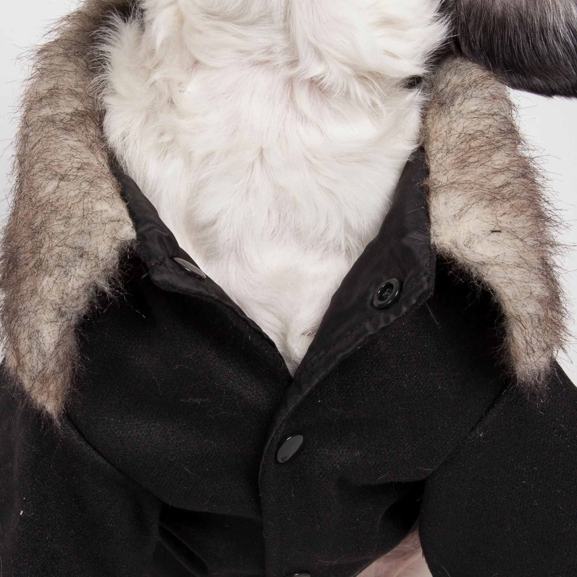 Coast Guard Pet Coat