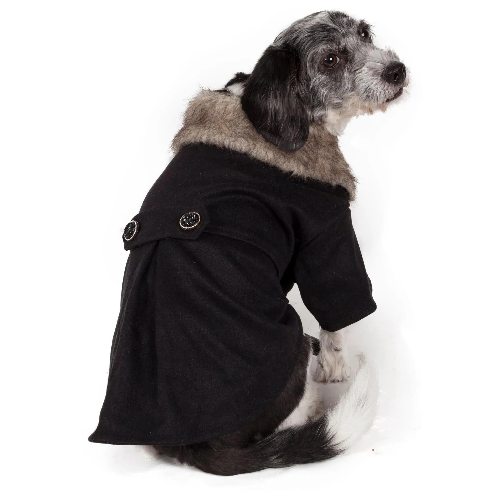 Coast Guard Pet Coat