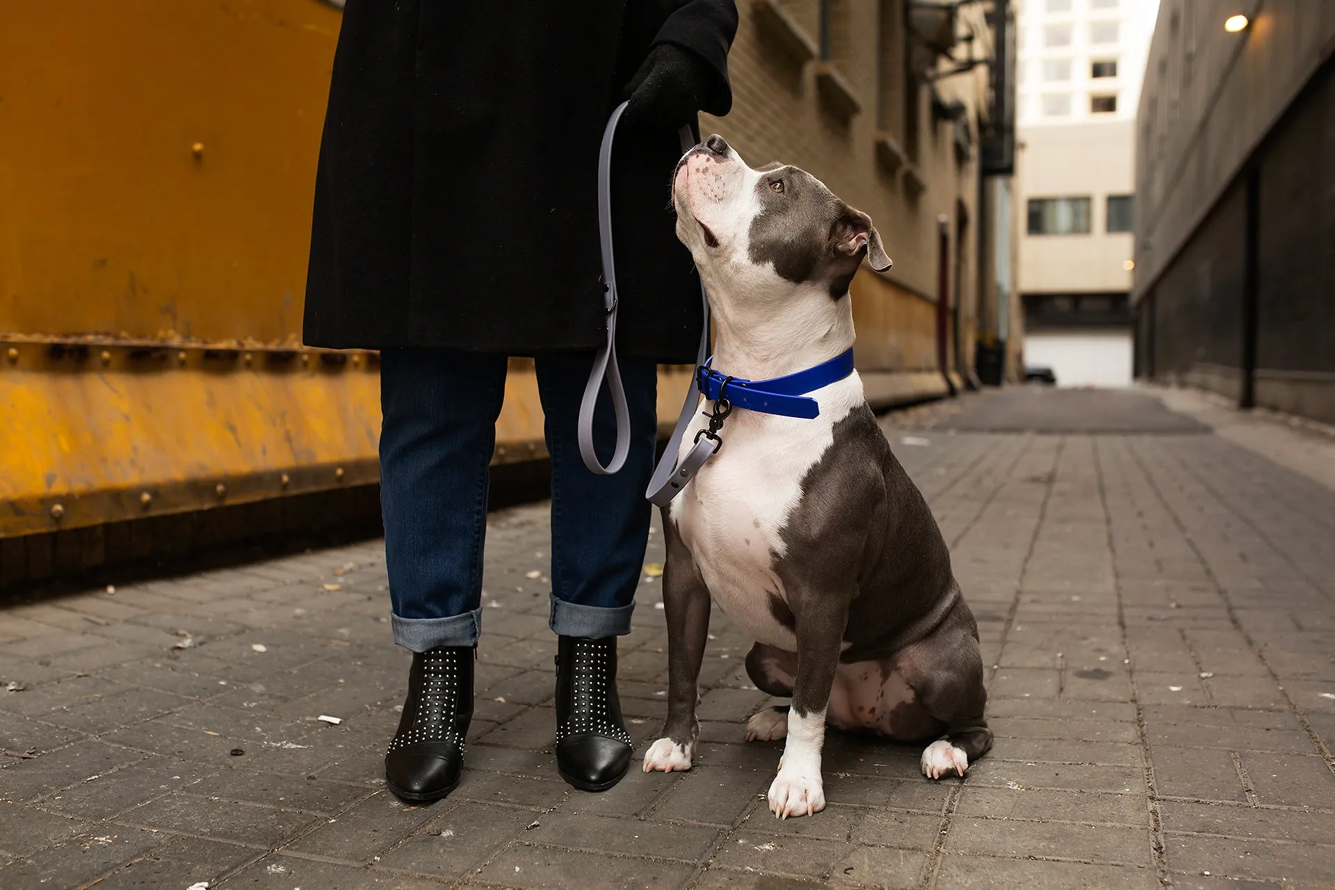 Design Your Own - The Elessar BT Collar, 1" Biothane Dog Collar