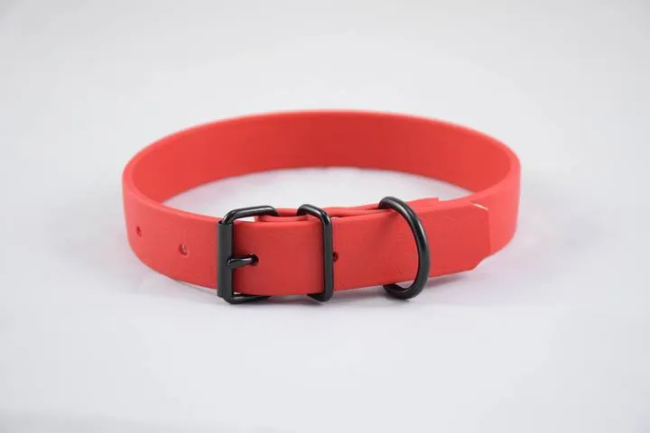 Design Your Own - The Elessar BT Collar, 1" Biothane Dog Collar