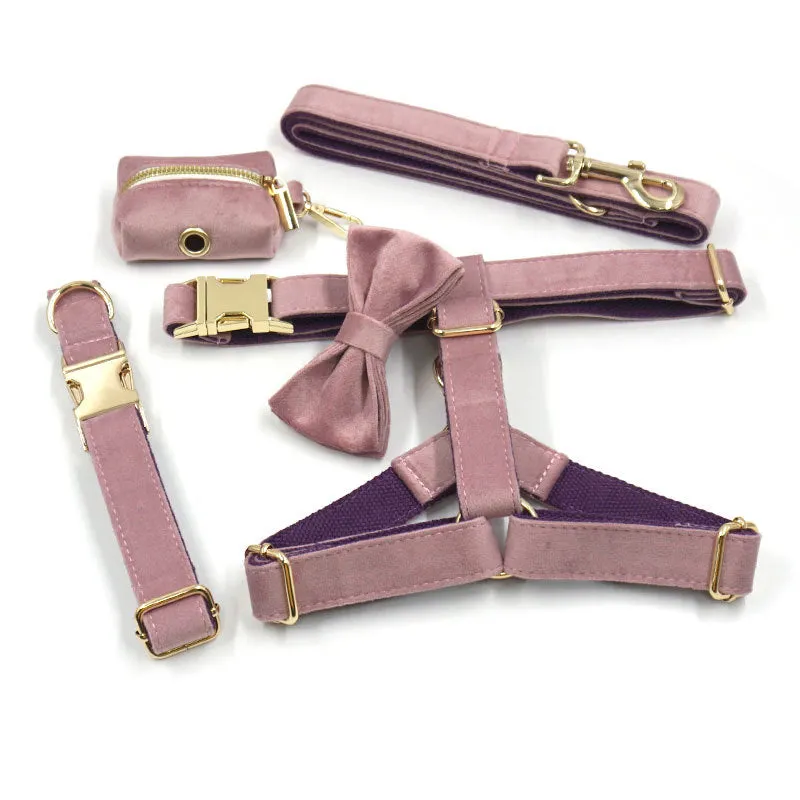 Dog Collar and leash set