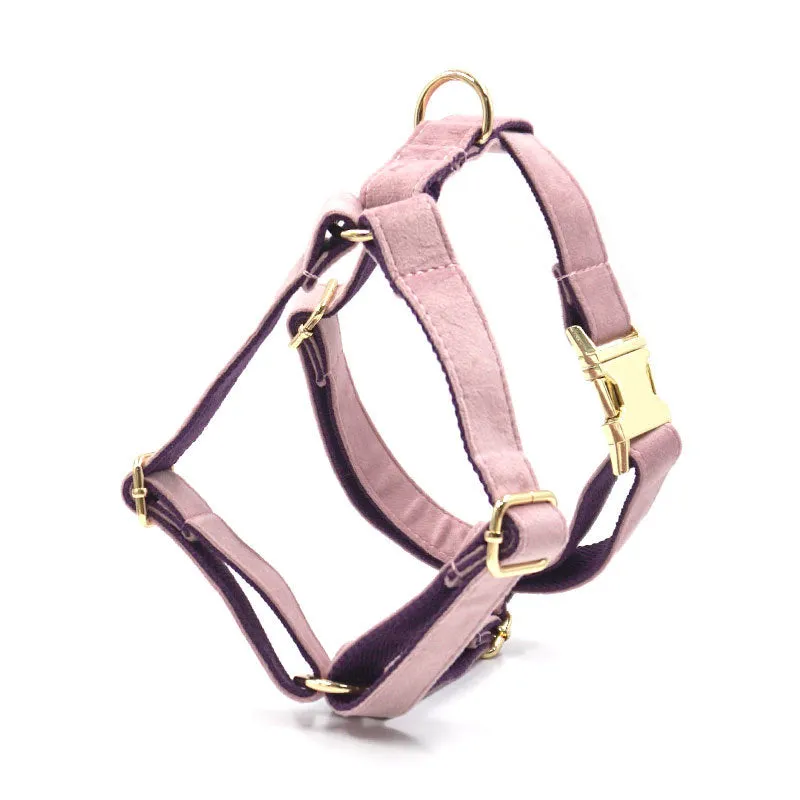 Dog Collar and leash set