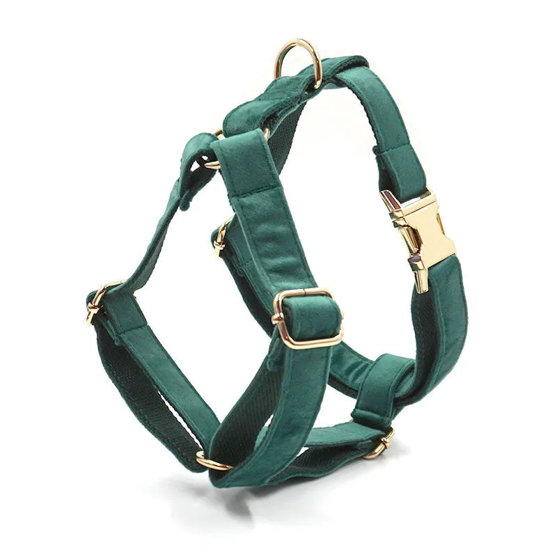 Dog Collar and leash set