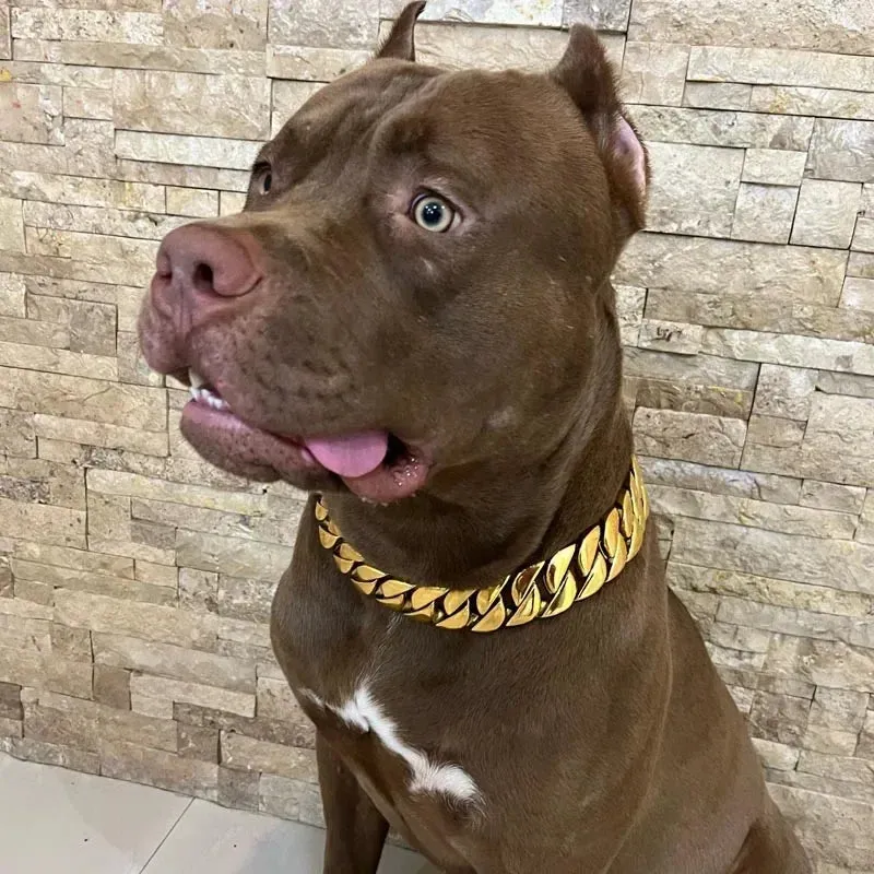 Metal Dog Chain Collars - Durable Stainless Steel Training Collar for Large Dogs