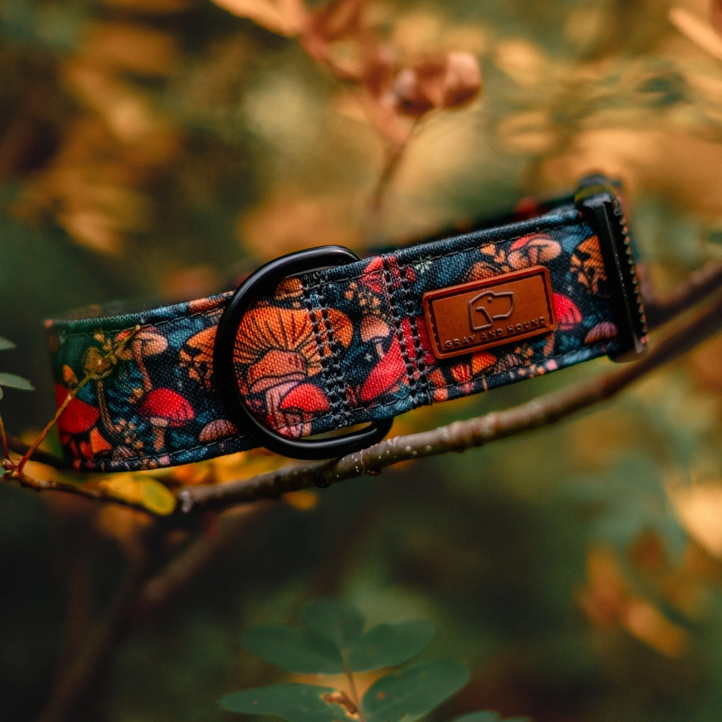 Midnight Mushroom Dog Collar
