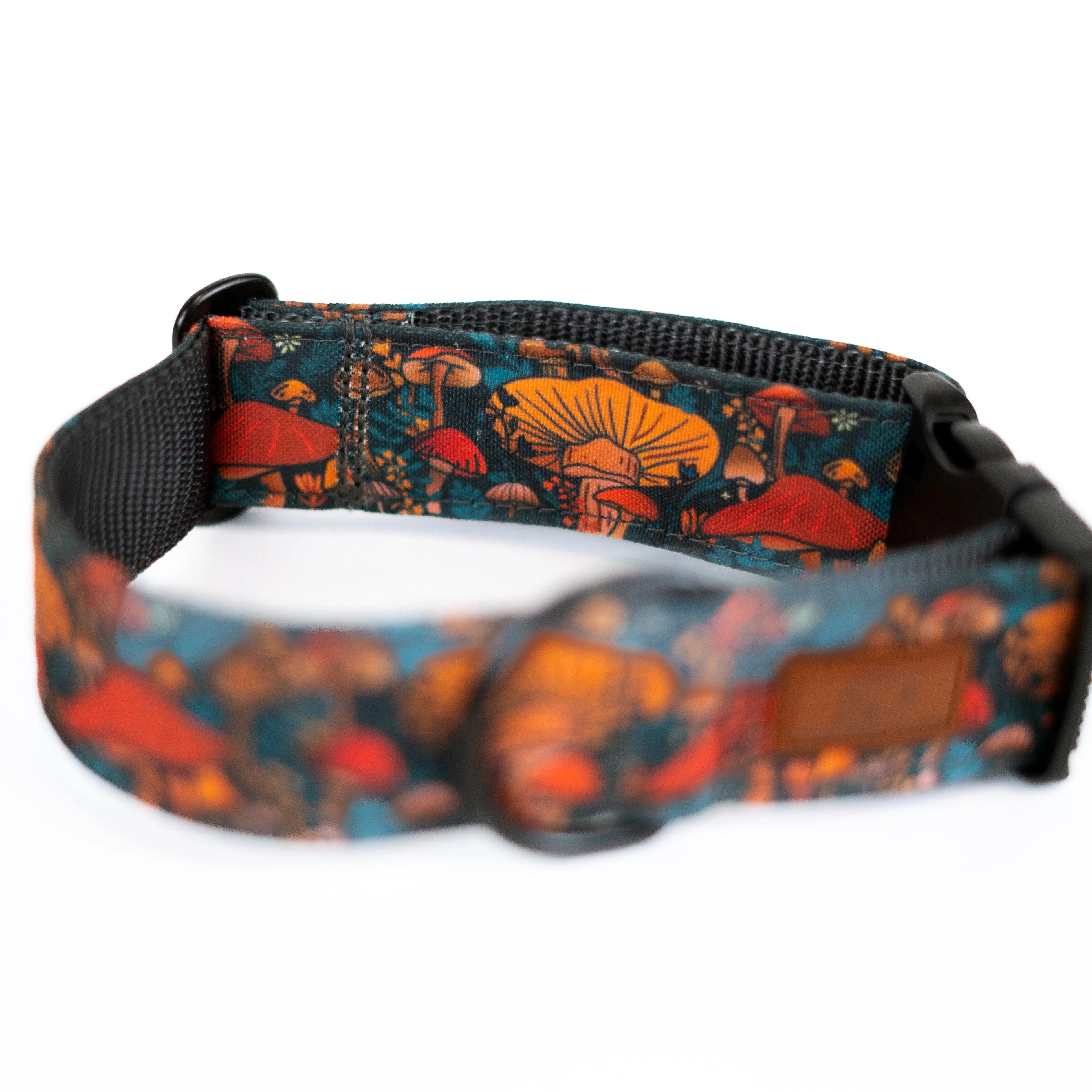 Midnight Mushroom Dog Collar