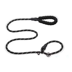 PAWS ASIA Suppliers 2 in 1 Nylon Reflective Training Strong Heavy Duty Dog Collar And Leash