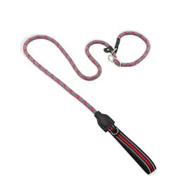 PAWS ASIA Suppliers 2 in 1 Nylon Reflective Training Strong Heavy Duty Dog Collar And Leash