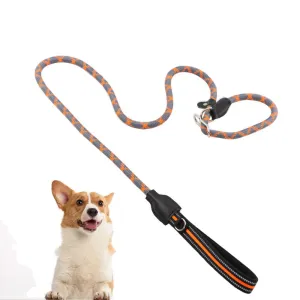 PAWS ASIA Suppliers 2 in 1 Nylon Reflective Training Strong Heavy Duty Dog Collar And Leash