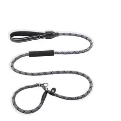 PAWS ASIA Suppliers 2 in 1 Nylon Reflective Training Strong Heavy Duty Dog Collar And Leash