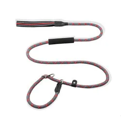 PAWS ASIA Suppliers 2 in 1 Nylon Reflective Training Strong Heavy Duty Dog Collar And Leash