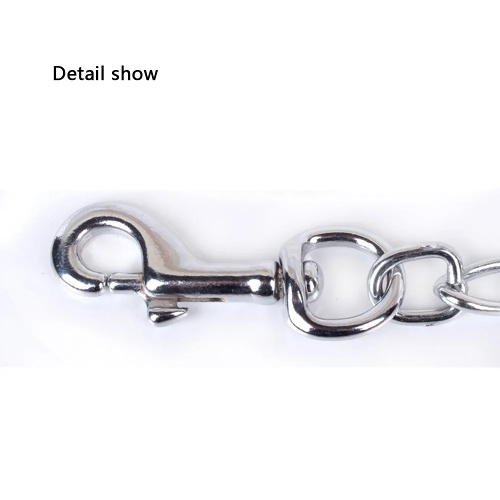 PAWS ASIA Suppliers Custom Waterproof Long Luxury Dog Leash Chain With Collar Set