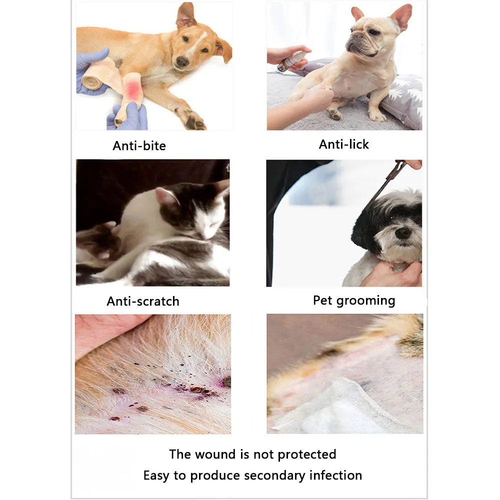 PAWS ASIA Suppliers Hot Selling Adjustable Pet Recovery Dog Protection Collar
