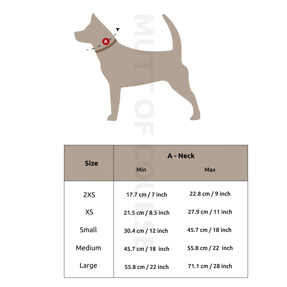 Woofy Poses Collar   Leash Set