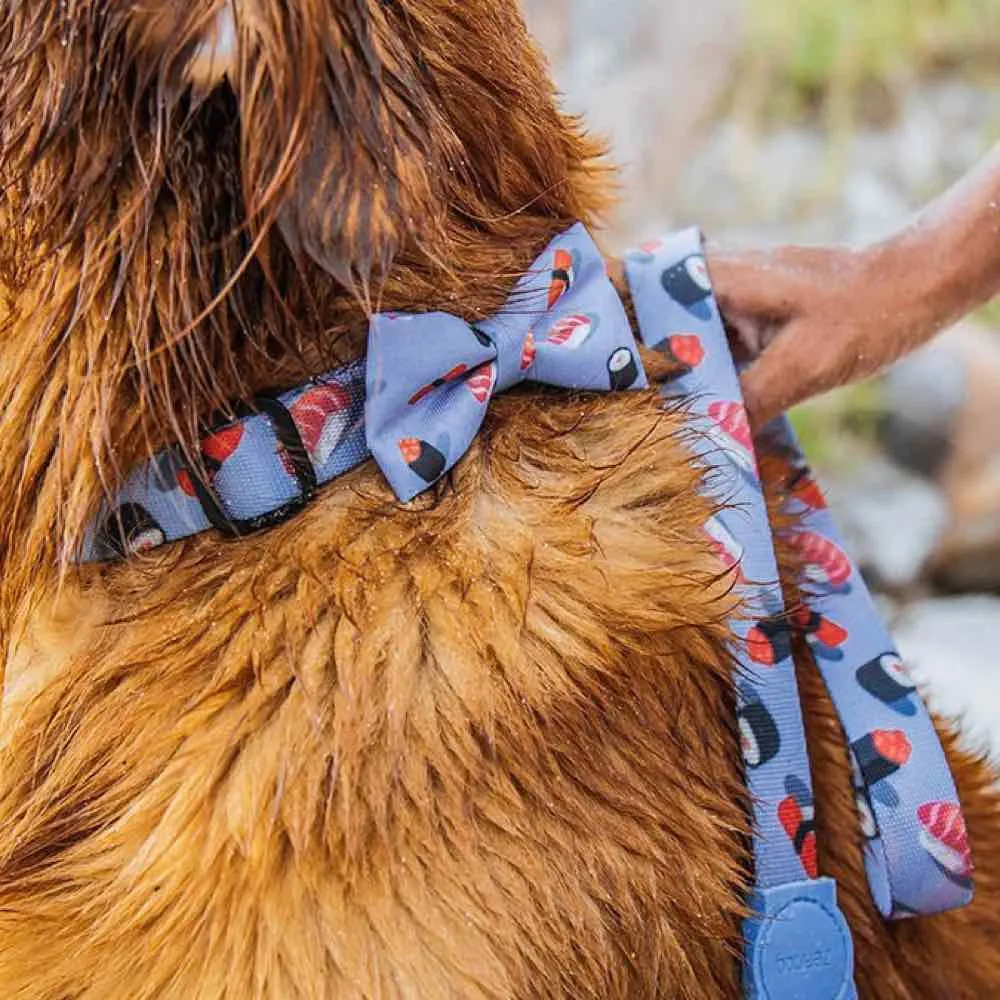 Zee.Dog Wasabi Bow Tie